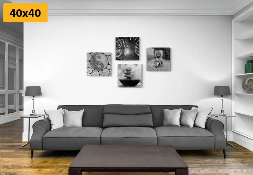 Set tablouri în stilul Feng Shui alb-negru