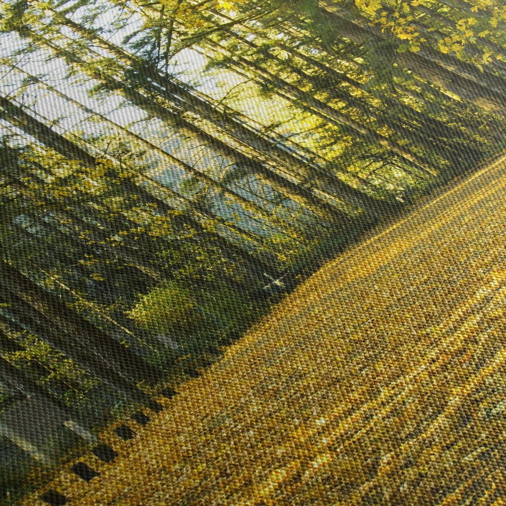 Tablou - pădurea toamna (90x60 cm)