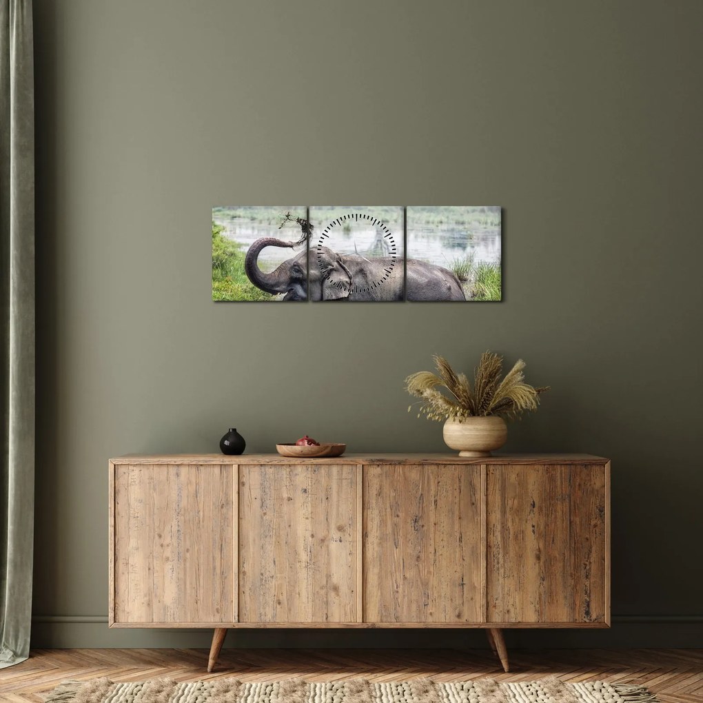 Tablou - Elefant de scăldat (cu ceas) (90x30 cm)