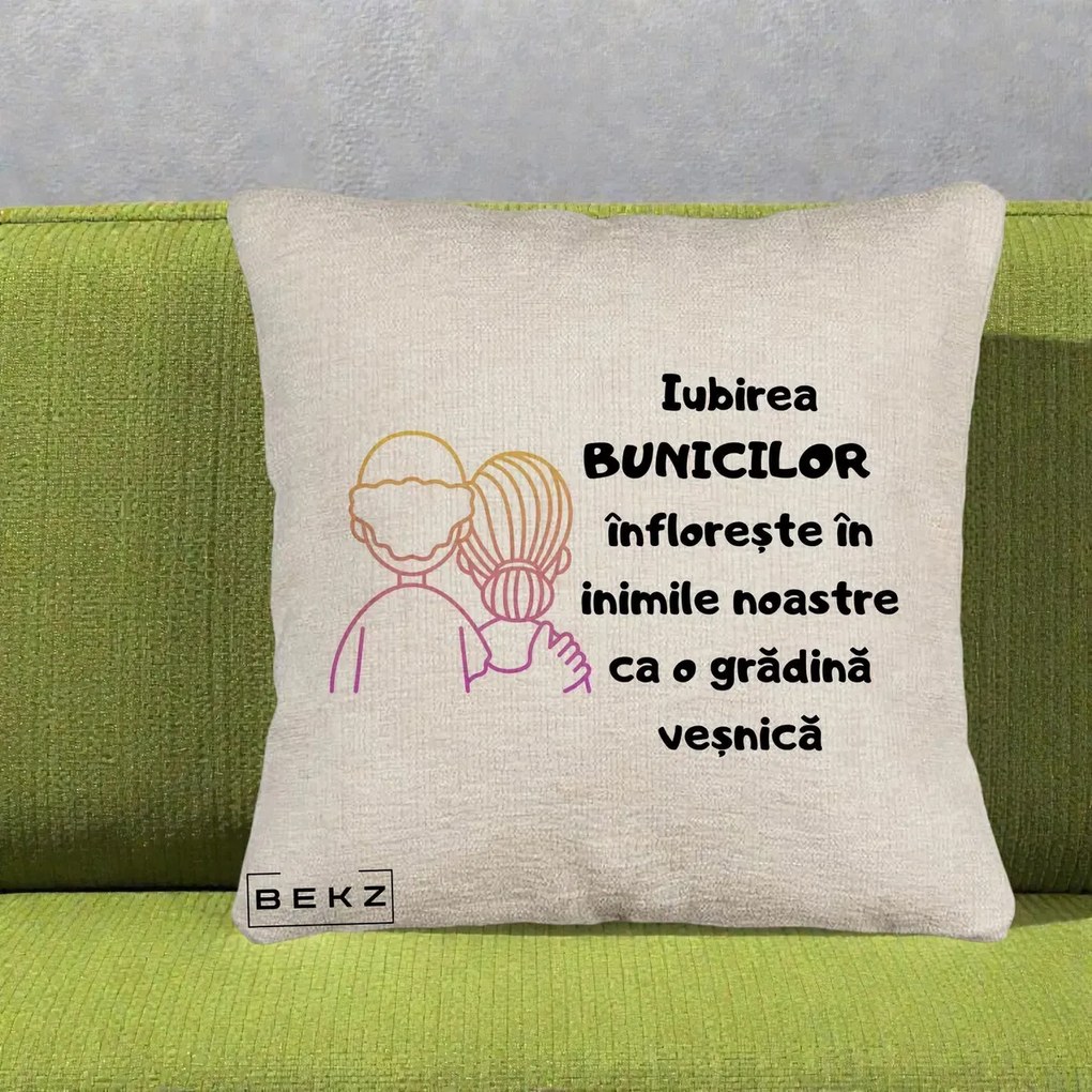 Cadou pentru Bunici - Perna Personalizata Iubirea Bunicilor Infloreste Cuplu Line Art Gradient, 40x40 cm, Bej Canapea, Husa Detasabila, Perna Inclusa, BEKZ®