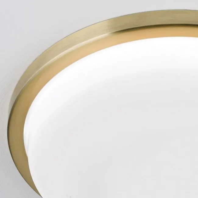 Plafoniera LED moderna LEROX 30cm alama antique