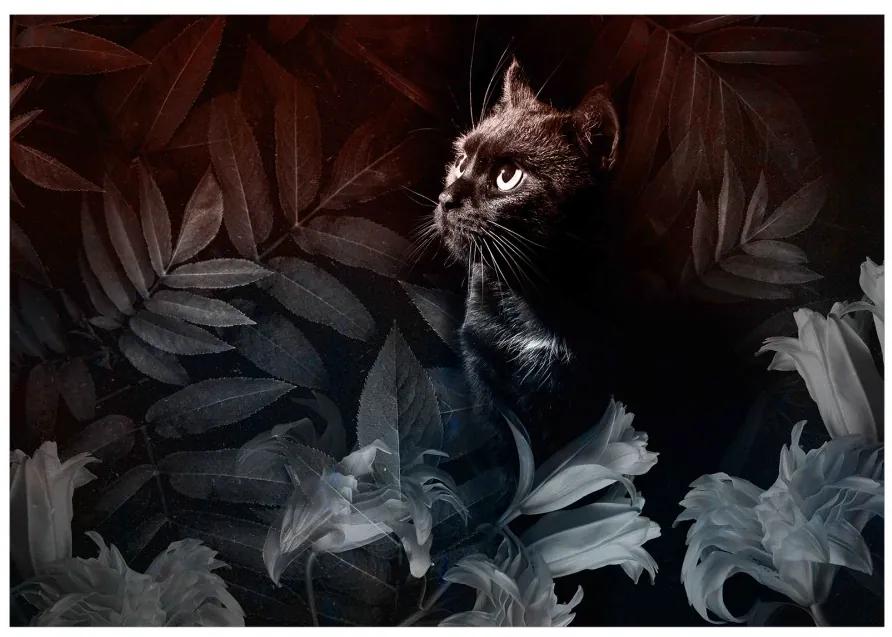 Fototapet - Pisică neagră la pândă - variantă întâi