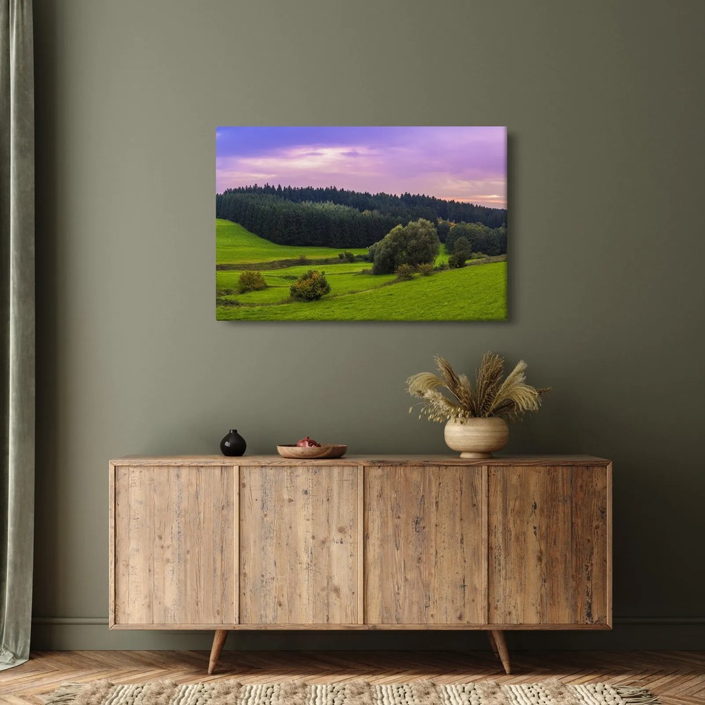 Tablou cu lunca (90x60 cm)