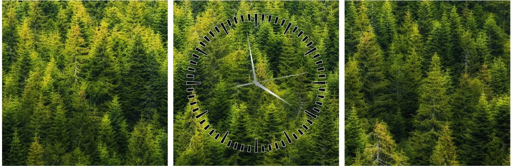 Tablou - Pădure deasă (cu ceas) (90x30 cm)