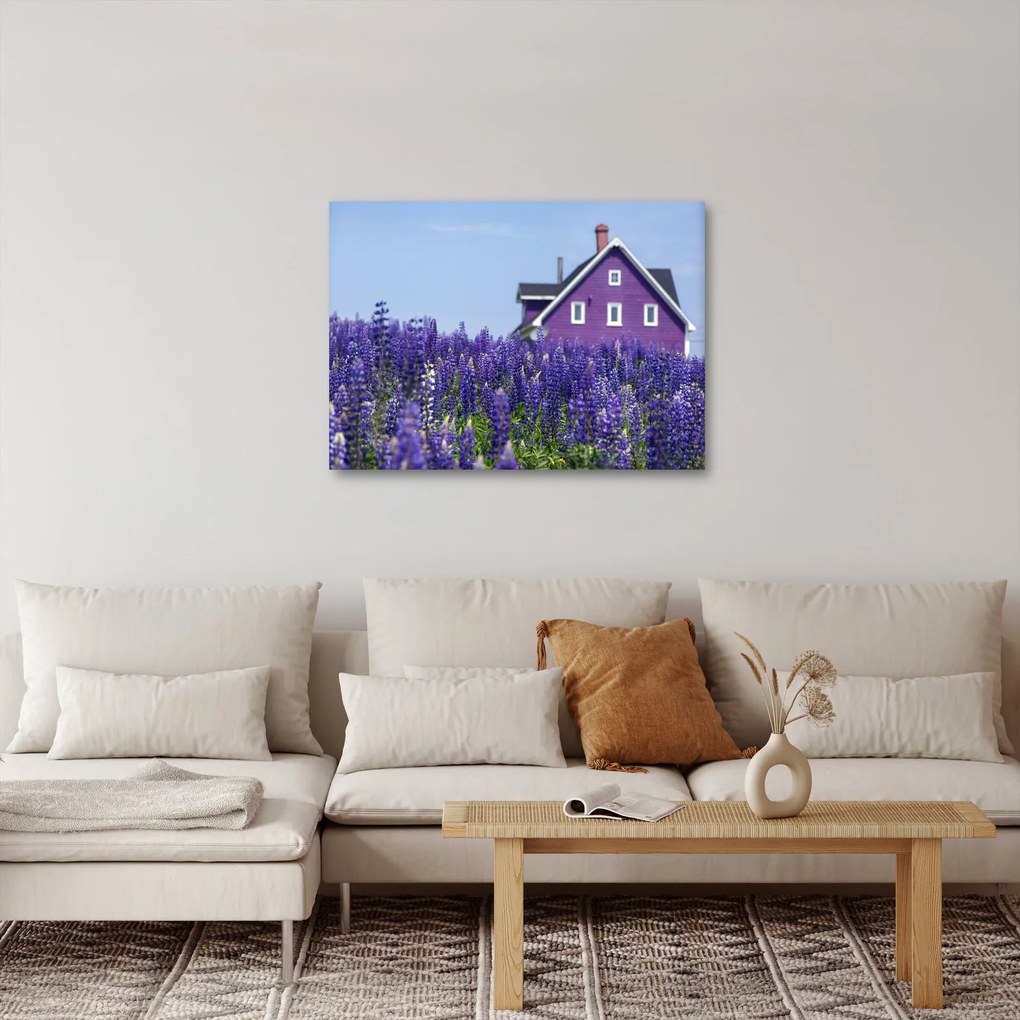 Tablou cu câmp de lavanda (70x50 cm)