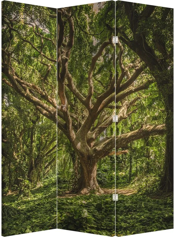 Paravan - Copaci (126x170 cm)