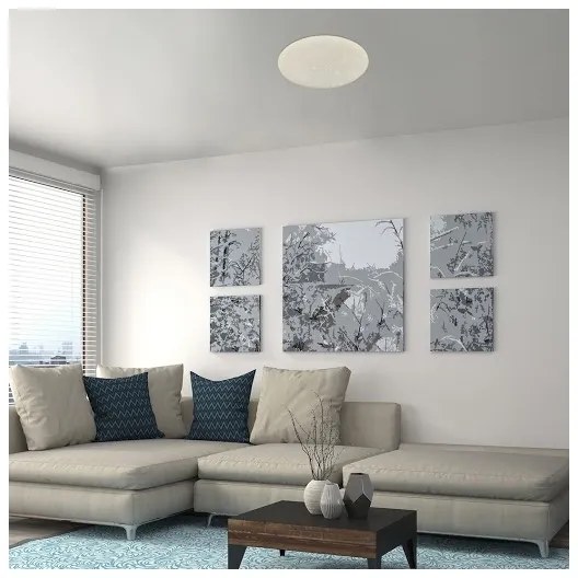 Rabalux 5540-LED Plafonieră dimabilă DAMIEN LED/24W/230V Wi-Fi + telecomandă