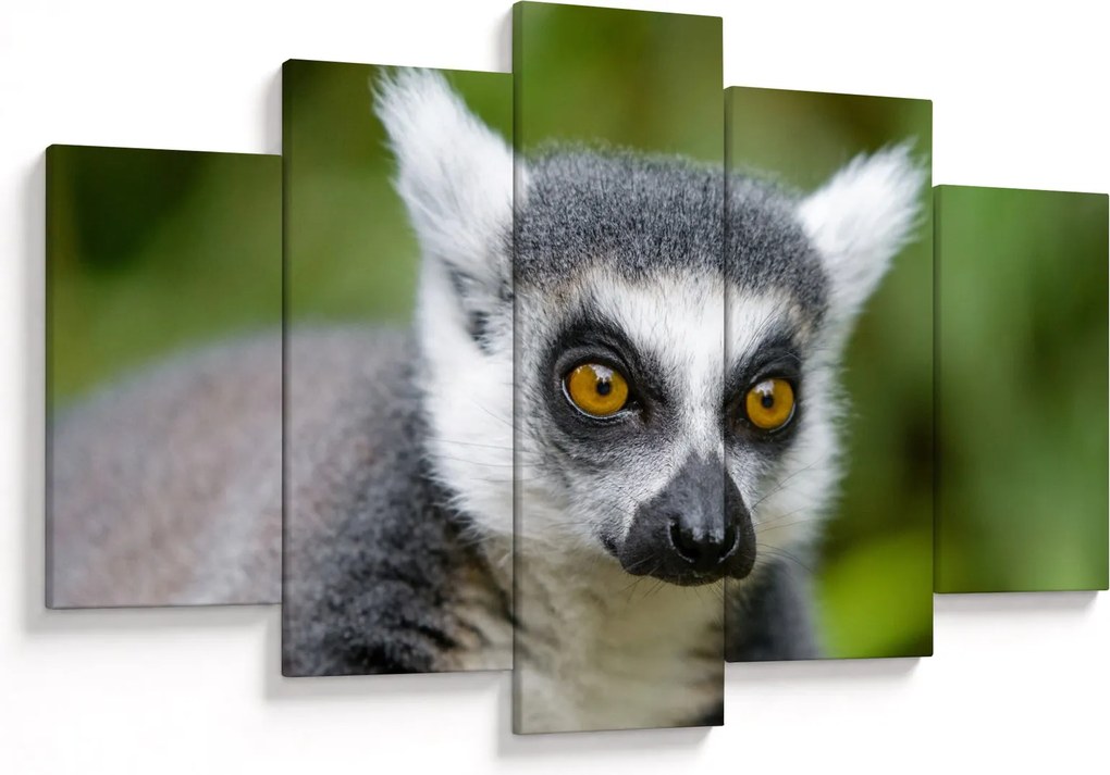Tablou cu lemur (150x105 cm)