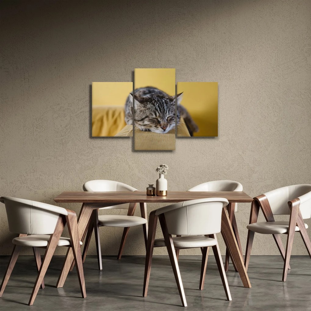 Tablou cu pisica pe fotoliu (90x60 cm)