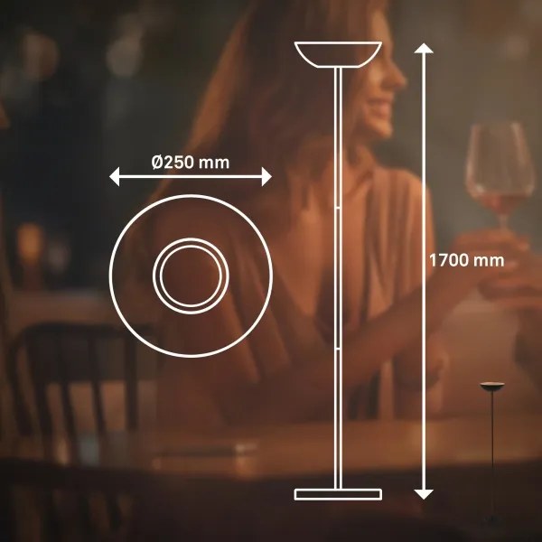 Briloner 1500015 - Lampadar LED ESTATE, reglabil, 8W/5V, 4000 mAh, negru