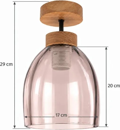 BRILAGI - LED Lustră aplicată R GLASS 1xE27/60W/230V Ø 17 cm stejar/bej fumuriu