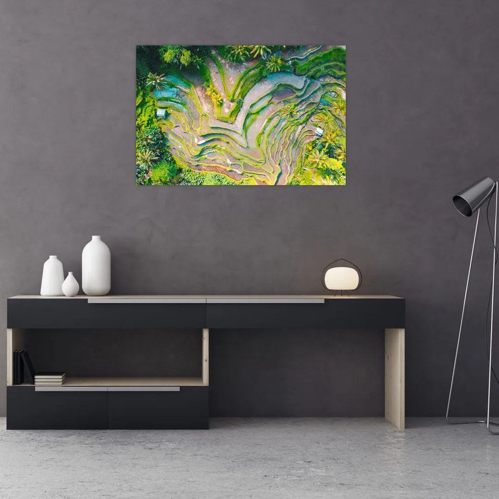 Tablou cu lanuri de orez din privire de sus (90x60 cm)