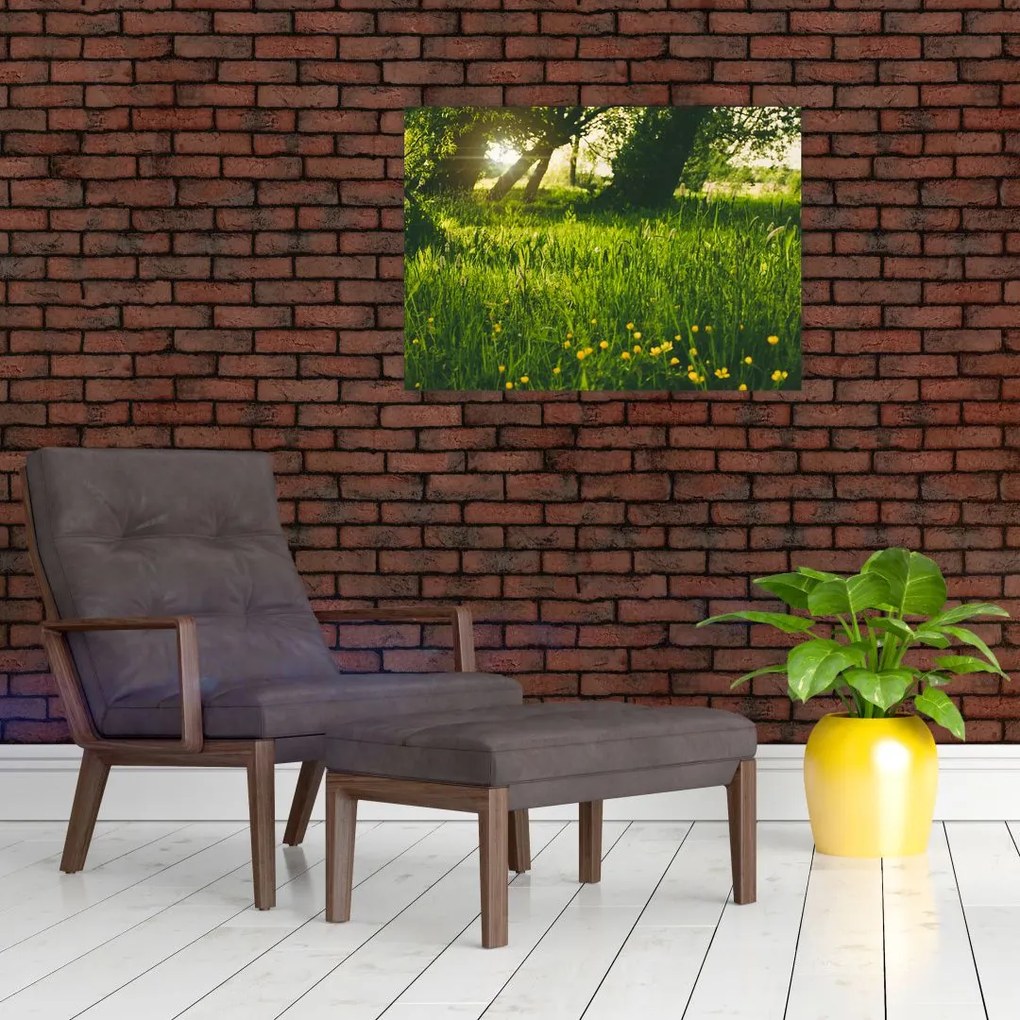Tablou cu natura - lunca (70x50 cm)