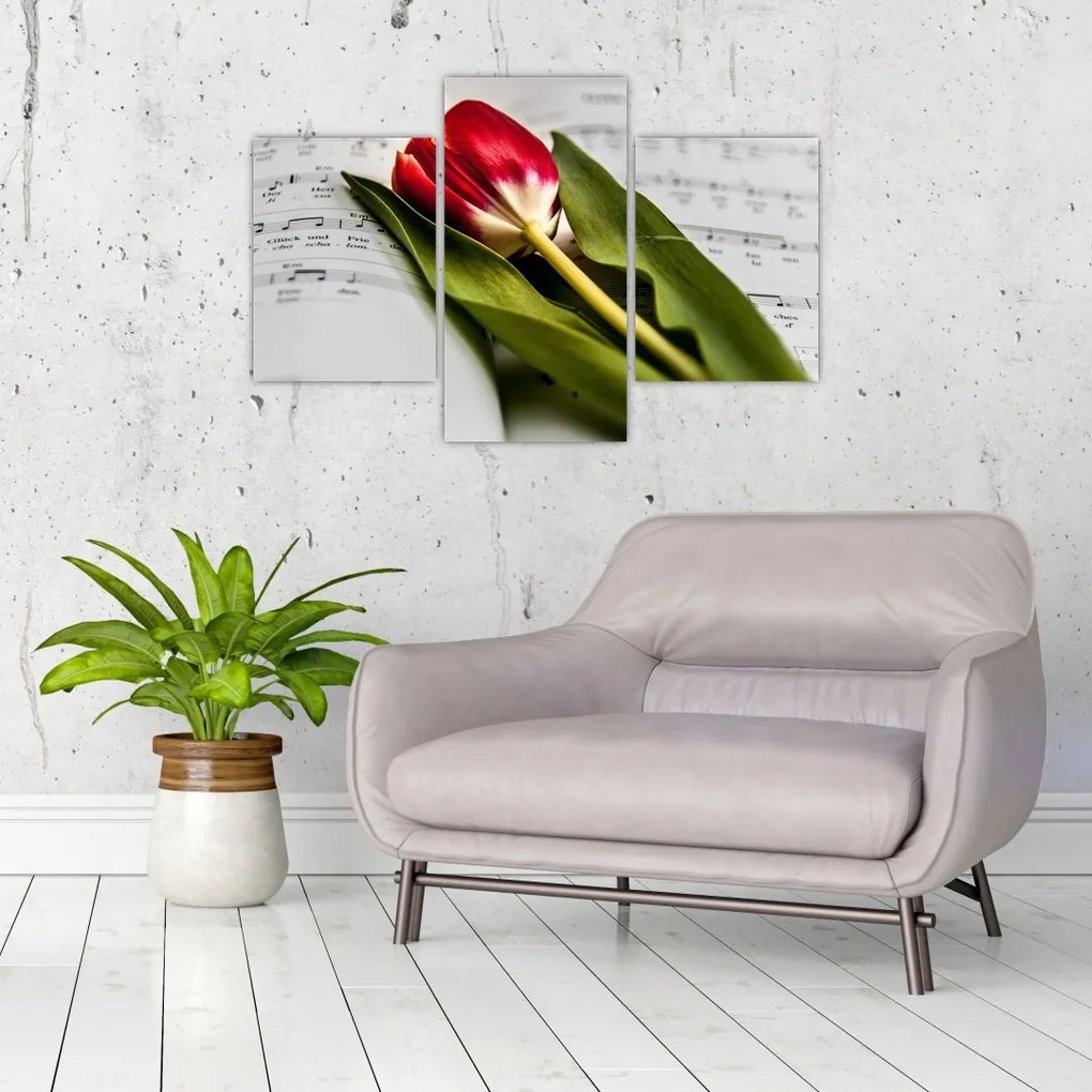 Tablou - Lalea roșie (90x60 cm)