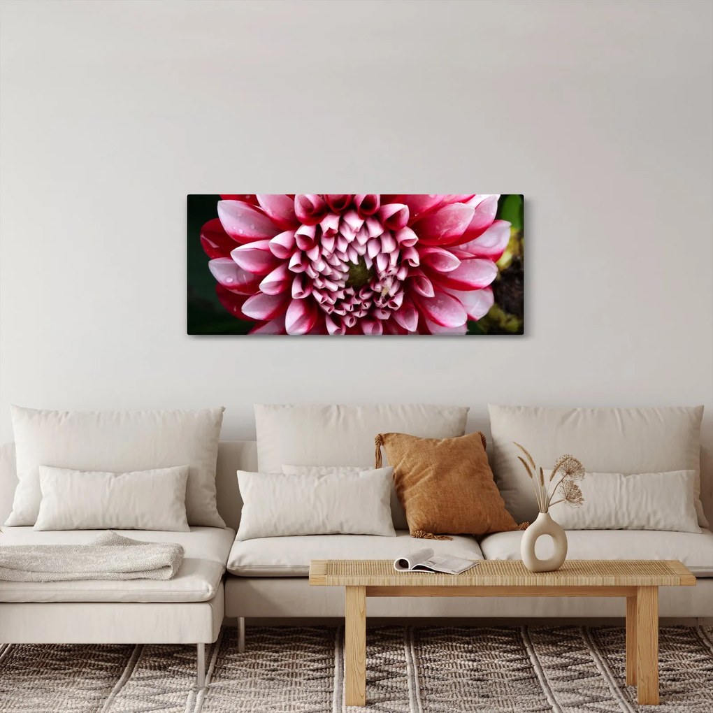 Tablou cu dalie roz (120x50 cm)