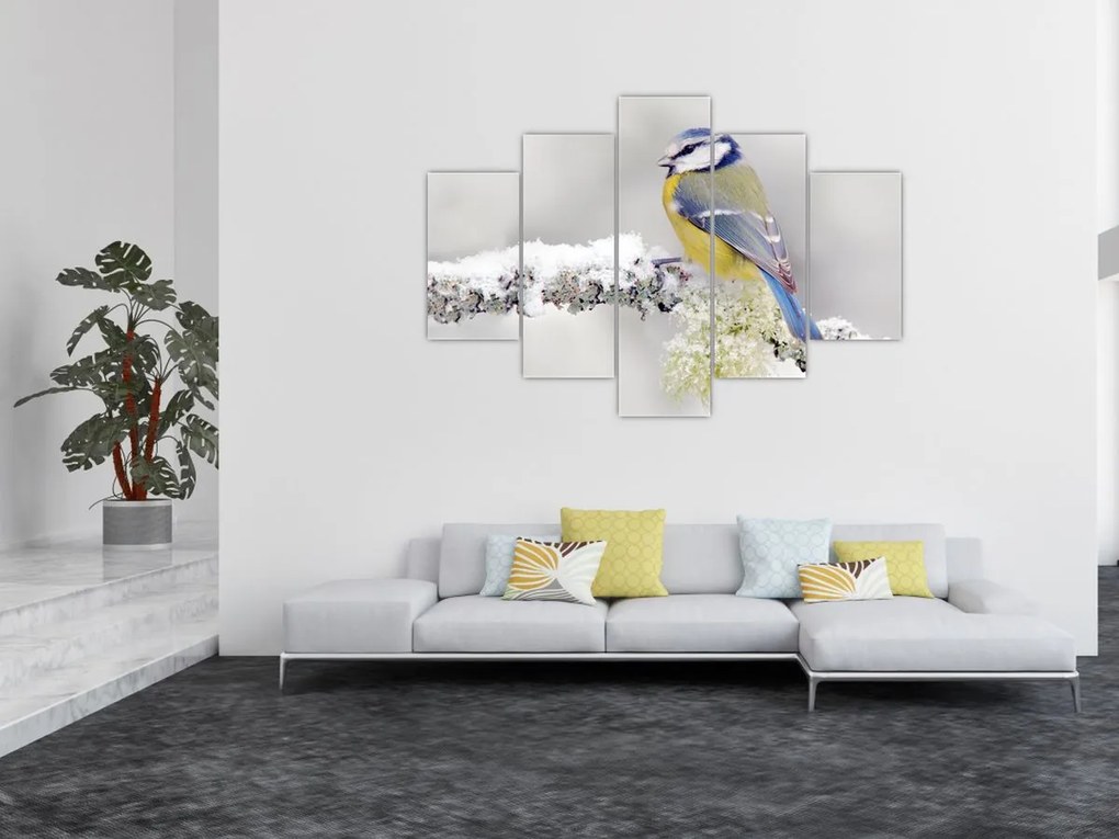 Tablou - Tit albastru în pădure (150x105 cm)