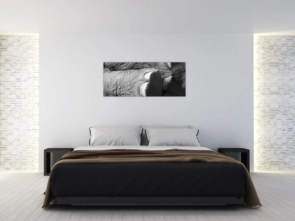 Tablou - Picior de elefant (120x50 cm)
