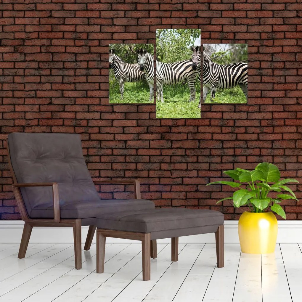Tablou cu zebre (90x60 cm)