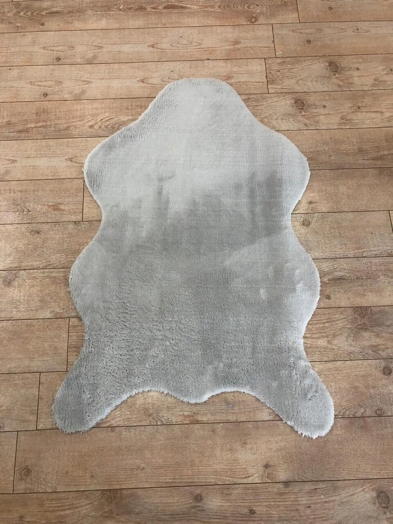 Covor, Post Plush, 80x120 cm, Gri deschis