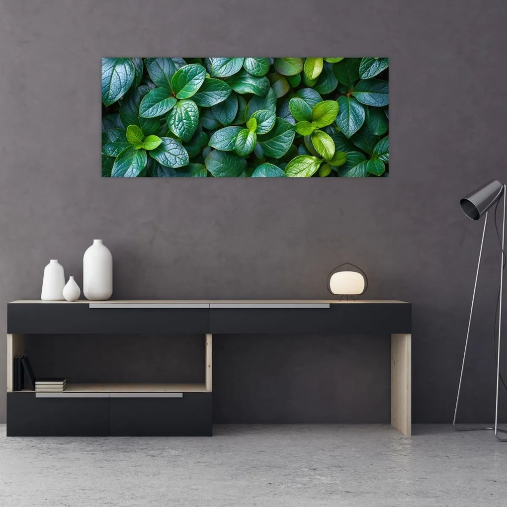 Tablou - Plante verzi (120x50 cm)