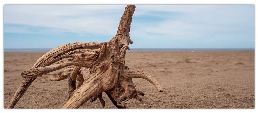 Tablou - Inundație de mare (120x50 cm)