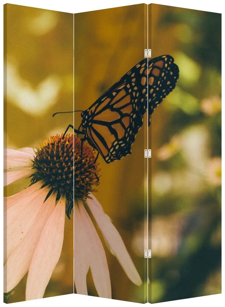 Paravan - Fluture pe floare (126x170 cm)