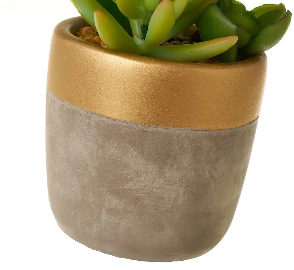 Plante artificiale 4 buc. Cactus – Casa Selección