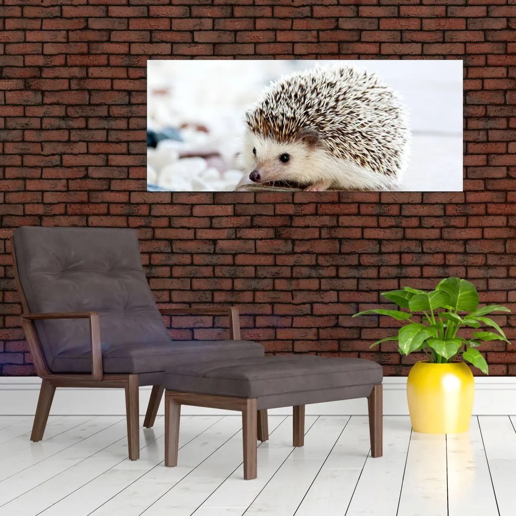 Tablou cu arici (120x50 cm)