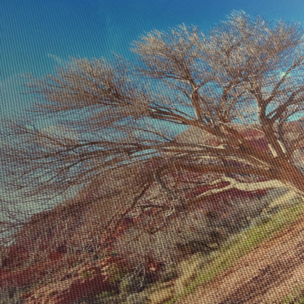 Tablou cu cu copac în deșert (90x60 cm)