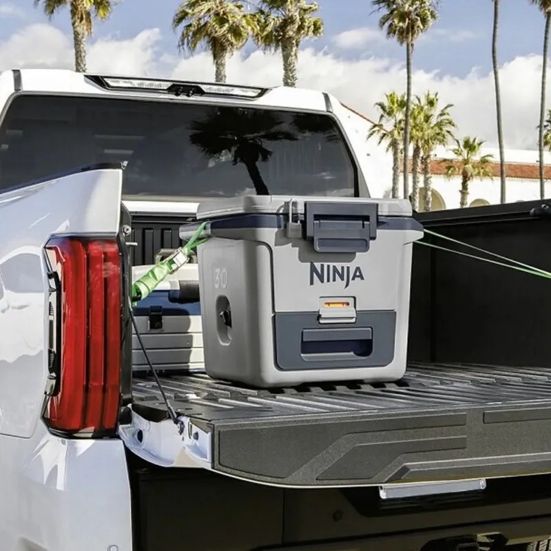 Lada frigorifica Ninja FrostVault FB131EUGY, 28 l, Pasiva, 48 doze, Pastreaza gheata pana la 5 zile, Compartiment uscat, Gri