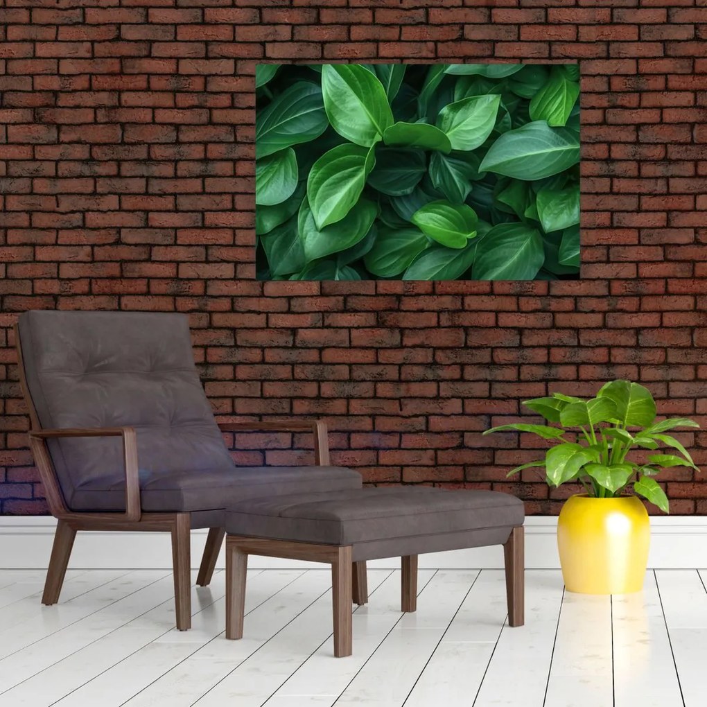 Tablou - Frunze verzi (90x60 cm)