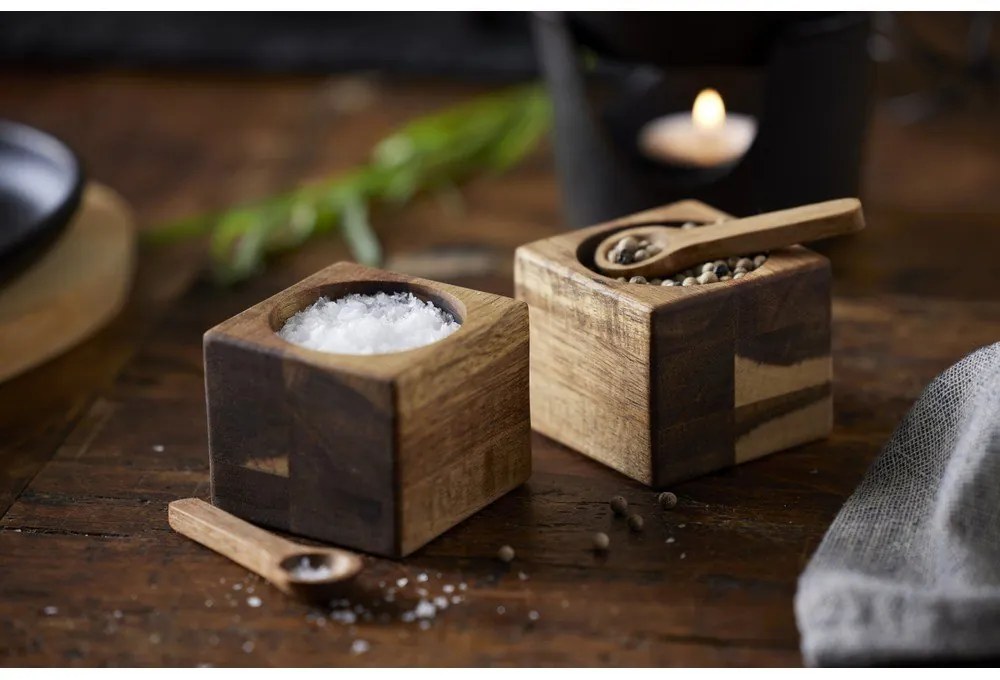 Set solniță și piperniță – Holm