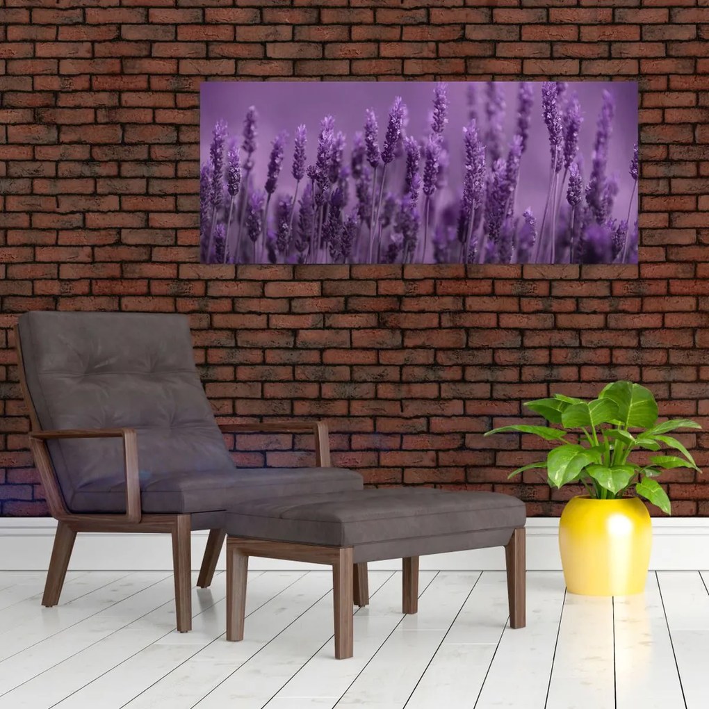 Tablou - Lavanda (120x50 cm)