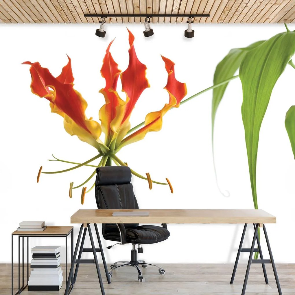 Fototapet - Flori (152,5x104 cm)