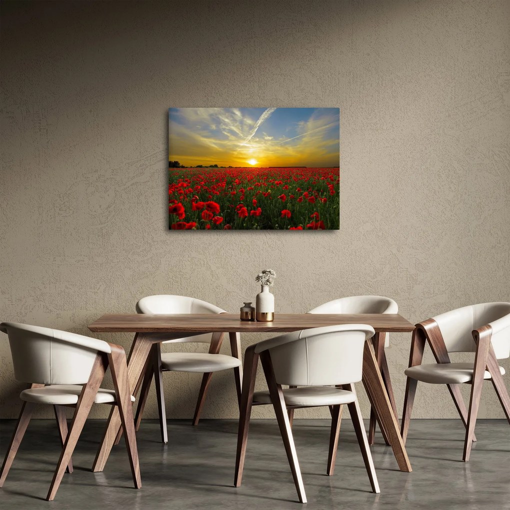 Tablou cu câmp cu maci (70x50 cm)