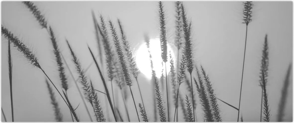 Tablou - Pajiște la apus (120x50 cm)