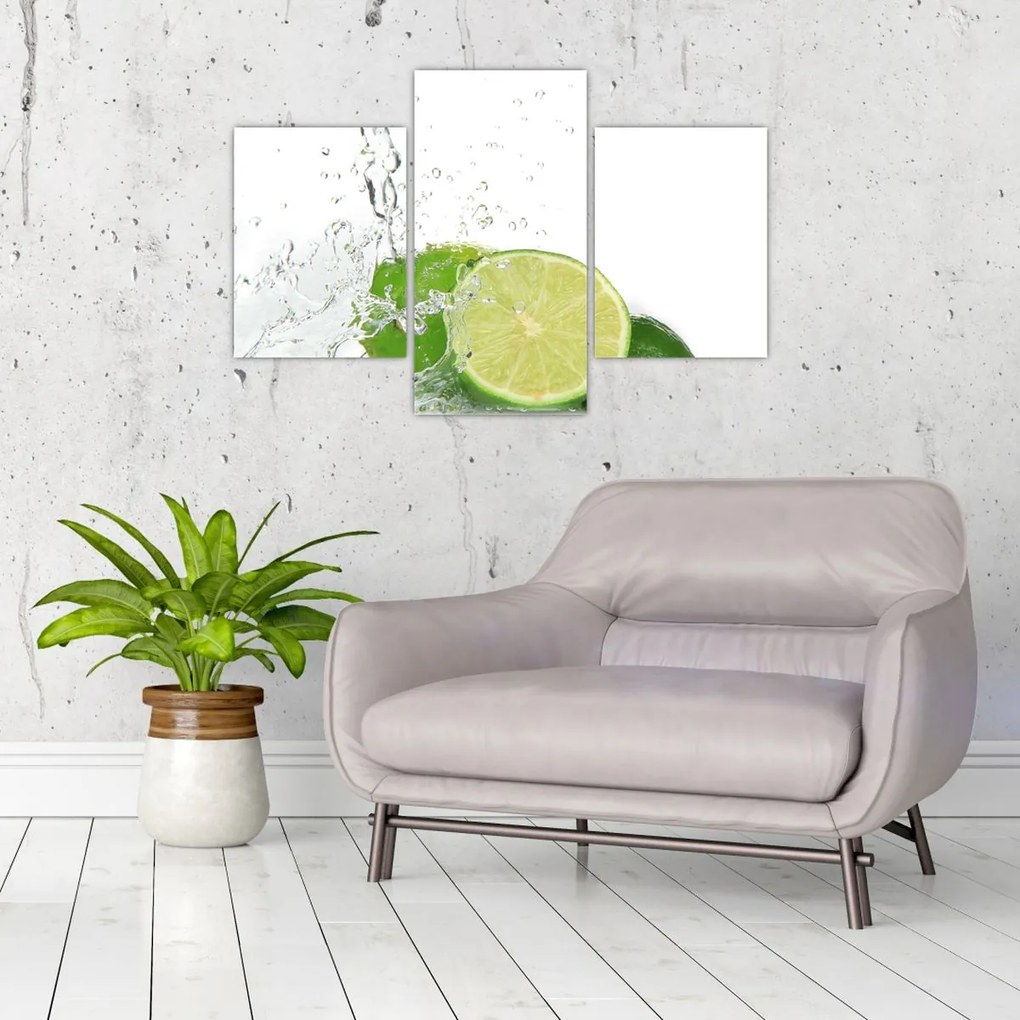 Tablou - Lămâi suculente (90x60 cm)
