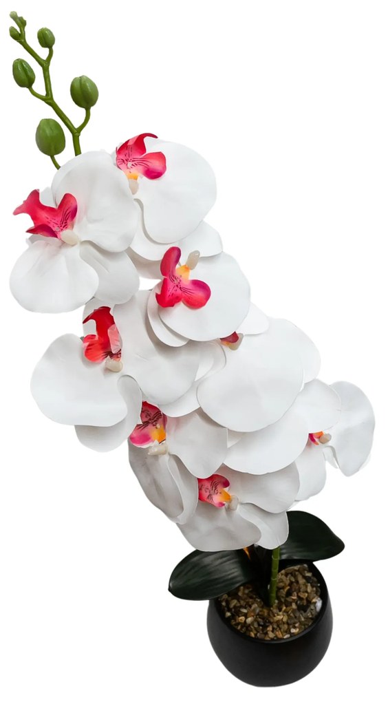 Floare decorativă în ghiveci, orhidee albă interior roz