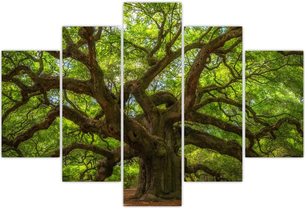 Tablou - Copac verde (150x105 cm)