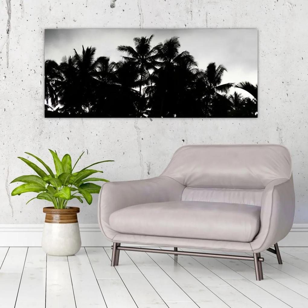 Tablou alb negru - palmieri (120x50 cm), în 40 de alte dimensiuni noi