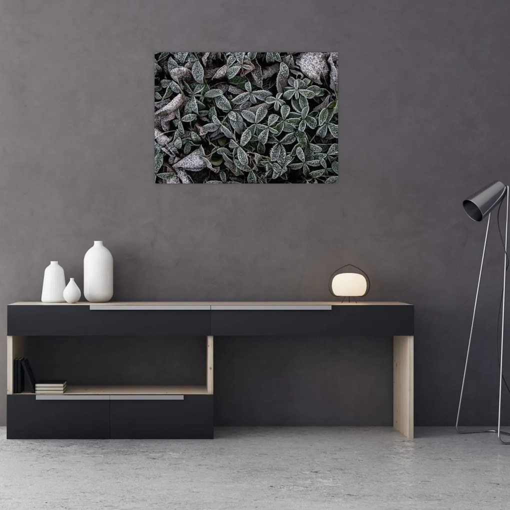 Tablou pe sticlă - Plante înghețate (70x50 cm)