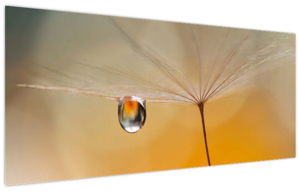 Tablou - Flori macro (120x50 cm)
