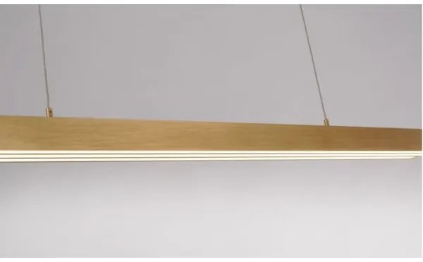 Lustră LED dimabilă pe cablu Paul Neuhaus 2568-60 ADRIANA LED/14W/230V alămie