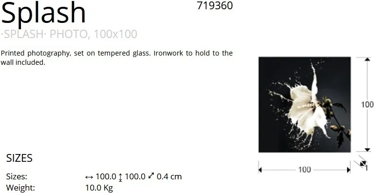 Tablou decorativ, imagine imprimata pe sticla calita Splash 100x100cm SV-719360