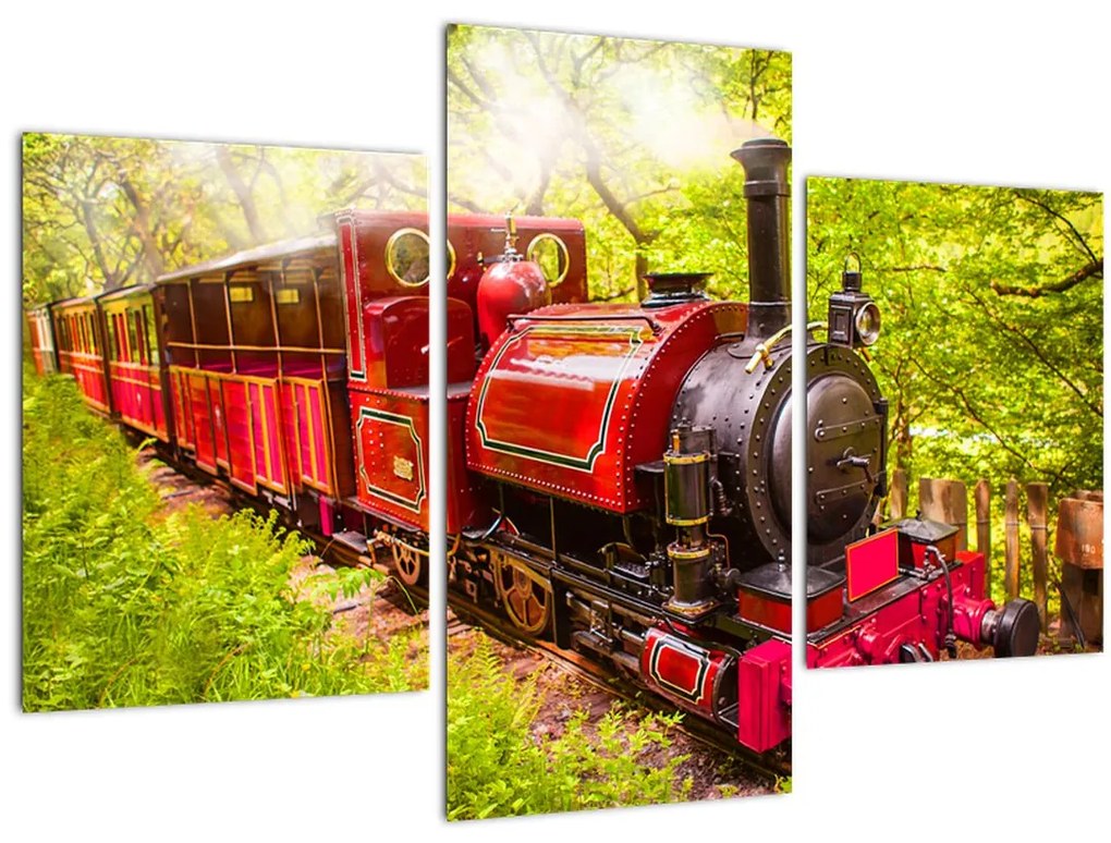 Tablou - Tren cu aburi (90x60 cm)