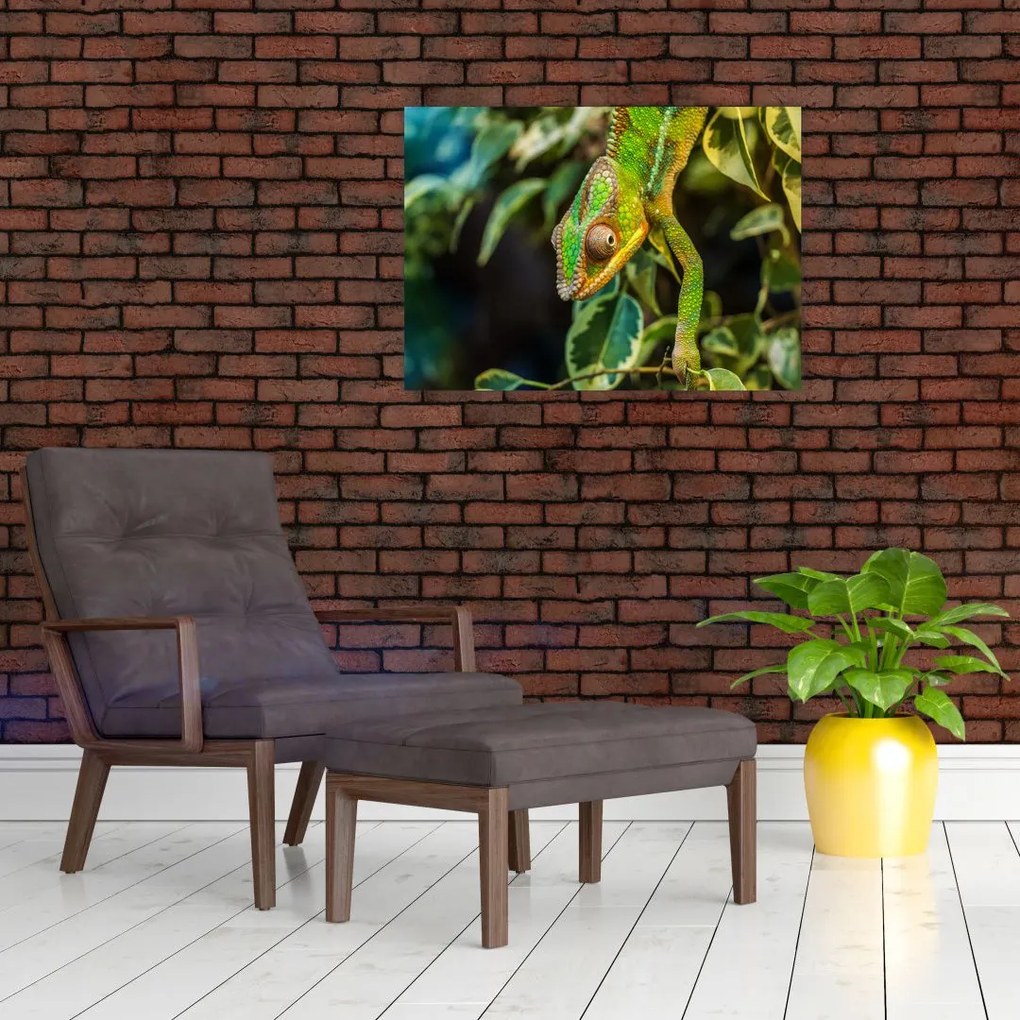 Tablou cu cameleon (70x50 cm)