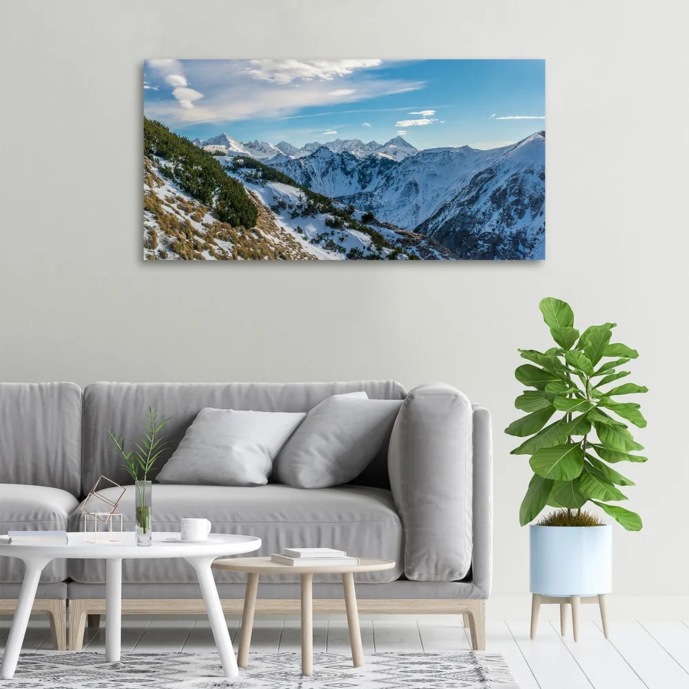 Imprimare tablou canvas Coroana tatra