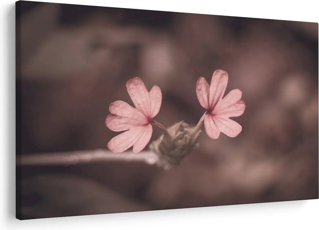 Tablou cu floare roz (90x60 cm)