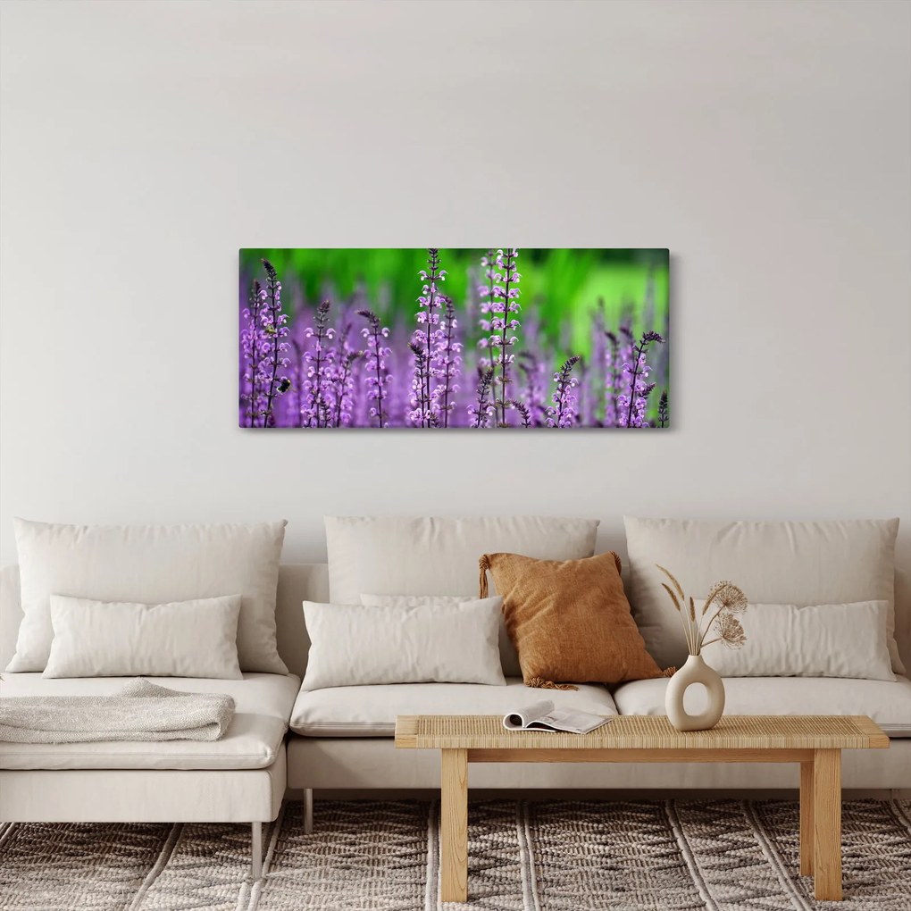 Tablou cu flori de luncă violete (120x50 cm)