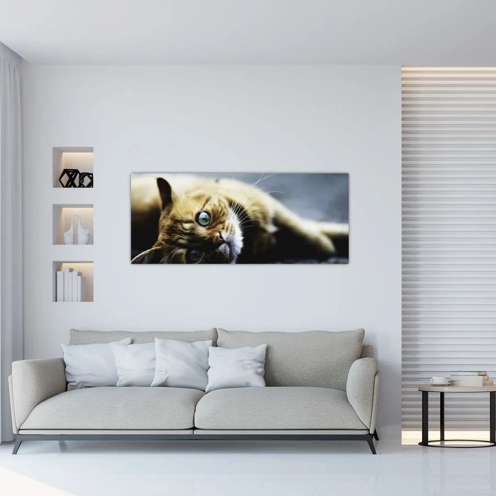 Tablou cu pisica (120x50 cm), în 40 de alte dimensiuni noi